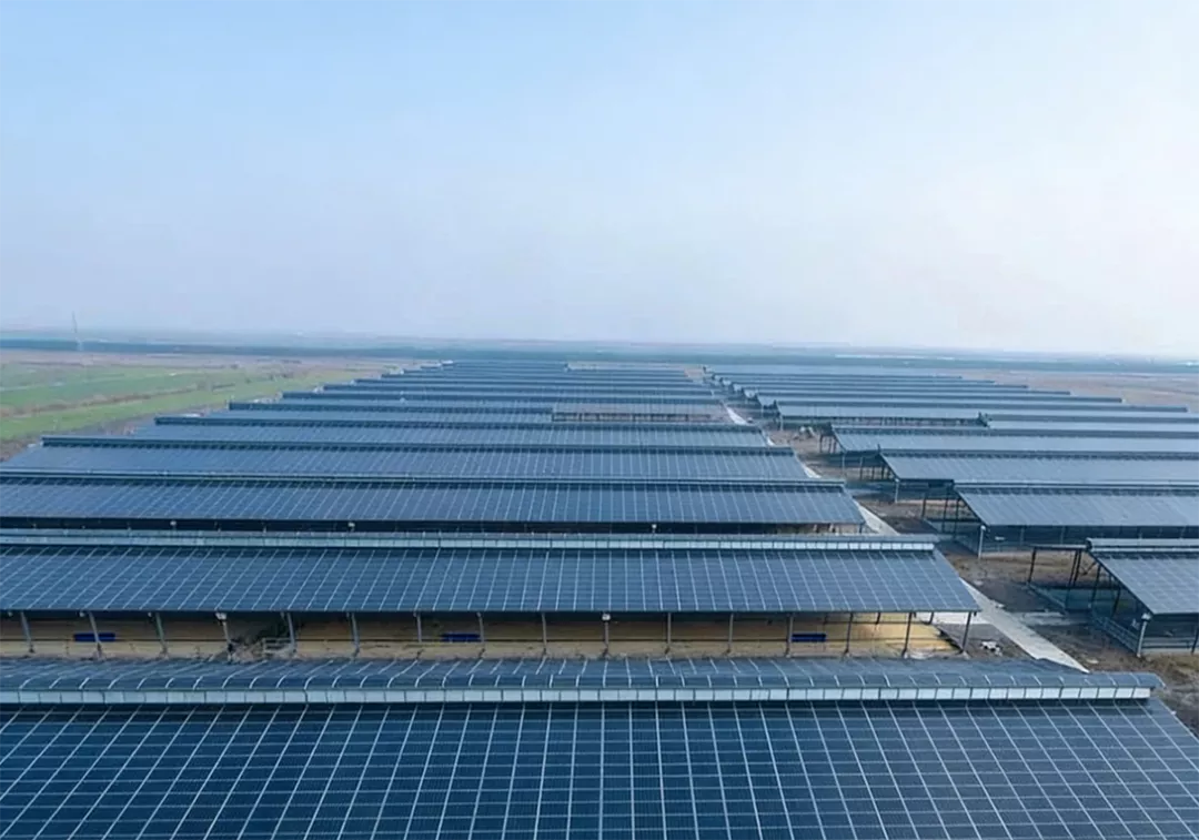 光伏走向多場景融合：從“棚頂”到“城市空間”